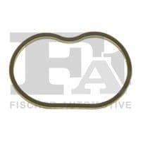 Blīve, Ieplūdes kolektors