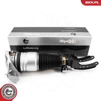 Pneimoatsperes statnis