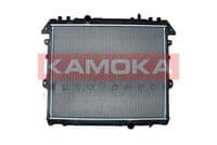 Radiators, Motora dzesēšanas sistēma