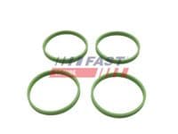 Blīve, Ieplūdes kolektors