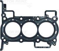 Blīve, Motora bloka galva