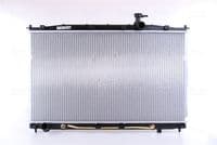 Radiators, Motora dzesēšanas sistēma