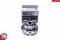 Riteņa rumbas gultņa komplekts