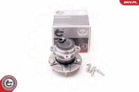 Riteņa rumbas gultņa komplekts