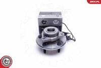 Riteņa rumbas gultņa komplekts