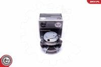 Riteņa rumbas gultņa komplekts