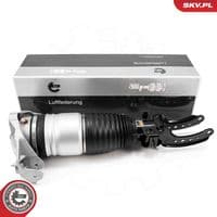 Pneimoatsperes statnis