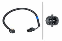 Detonācijas devējs