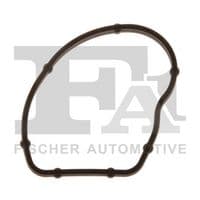 Blīve, Ieplūdes kolektors