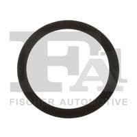 Blīve, Izplūdes gāzu recirkulācijas vārsts