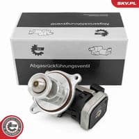 Izpl. gāzu recirkulācijas vārsts