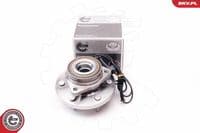 Riteņa rumbas gultņa komplekts