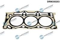 Blīve, Motora bloka galva