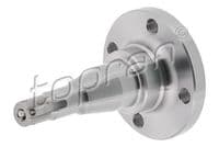 Ass pulka, Tilta sija