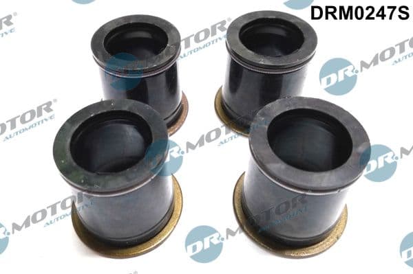 Blīve, Sprauslas korpuss Dr.Motor Automotive DRM0247S 1