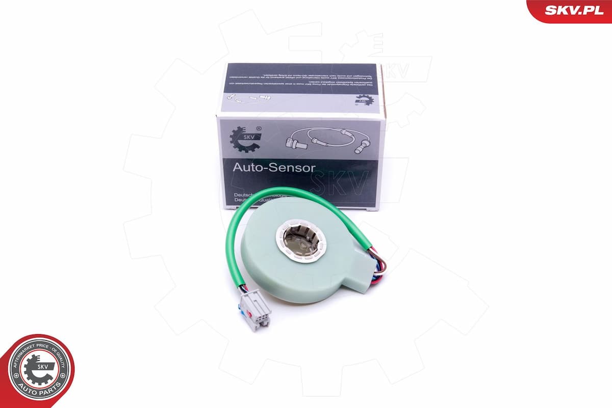 Pagrieziena leņķa devējs ESEN SKV 17SKV476 1