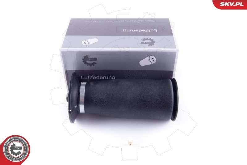 Pneimoatspere, Balstiekārta ESEN SKV 58SKV021 1