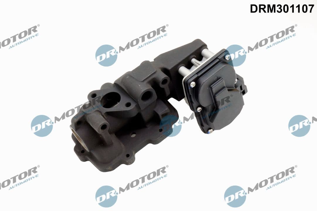 Izpl. gāzu recirkulācijas vārsts Dr.Motor Automotive DRM301107 1