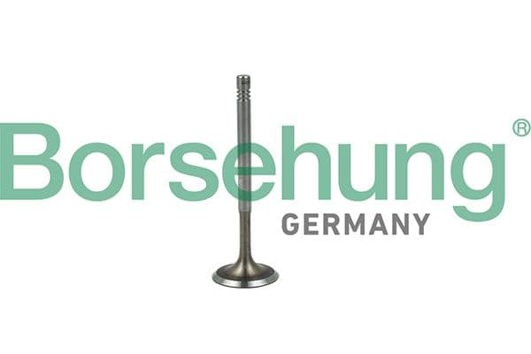 Ieplūdes vārsts Borsehung B19019 1