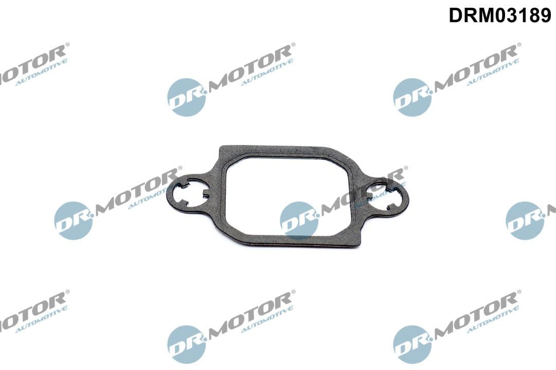 Blīve, Izplūdes gāzu recirkulācijas vārsts Dr.Motor Automotive DRM03189 1