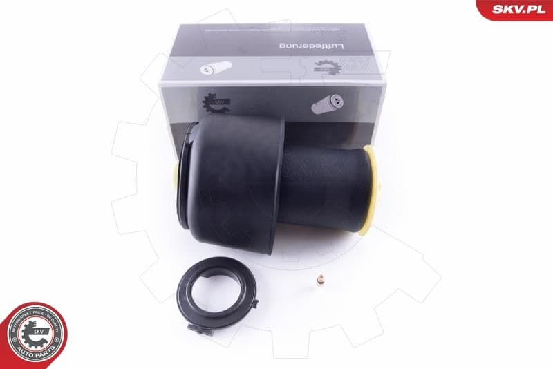 Pneimoatspere, Balstiekārta ESEN SKV 58SKV026 1