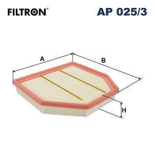 Gaisa filtrs FILTRON AP 025/3 1