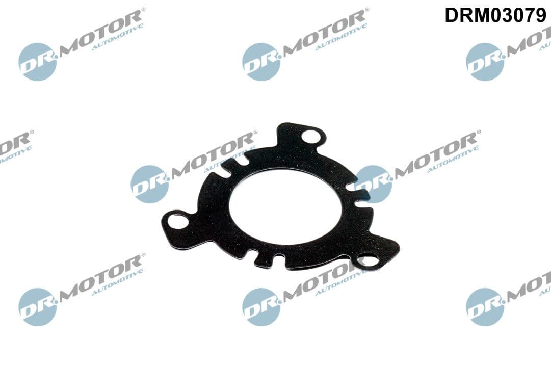 Blīve, Degvielas augstspiediena sūknis Dr.Motor Automotive DRM03079 1