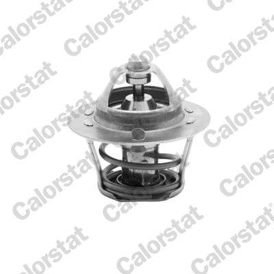 Termostats, Dzesēšanas šķidrums CALORSTAT by Vernet TH3328.88J 1