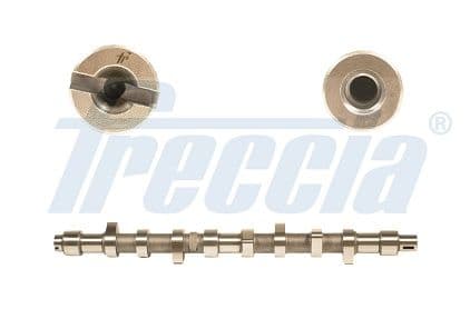Sadales vārpsta FRECCIA CM05-2141 1