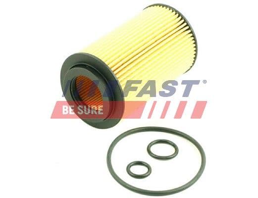 Eļļas filtrs FAST FT38013 1