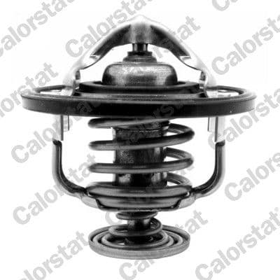 Termostats, Dzesēšanas šķidrums CALORSTAT by Vernet TH7261.85J 1