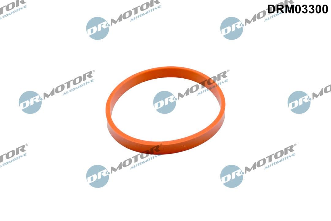 Blīve, Droseļvārsta īscaurule Dr.Motor Automotive DRM03300 1