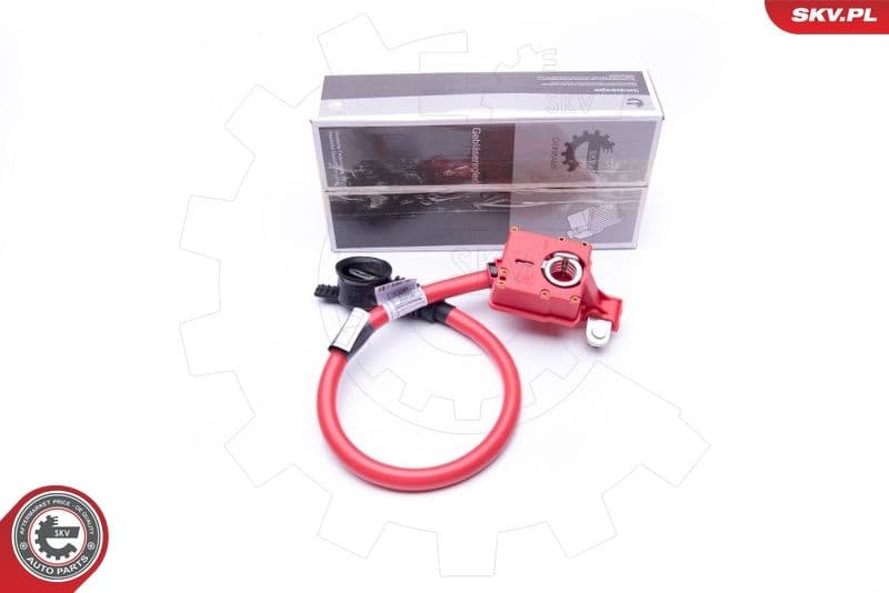 Akumulatoru baterijas adapteris ESEN SKV 96SKV301 1