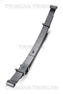 Lāgu atsperes lokšņu komplekts TRISCAN 8765 42009 1