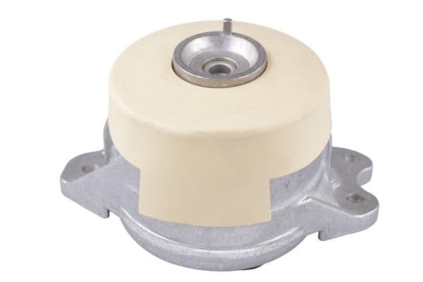 Piekare, Dzinējs TEDGUM TED45256 1