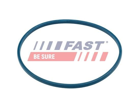 Blīve, Degvielas ieliešanas caurule FAST FT48504 1