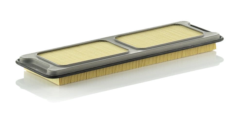 Gaisa filtrs MANN-FILTER C 4373/1 1