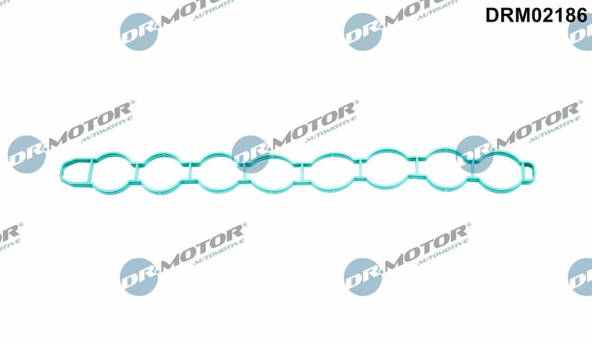 Blīve, Ieplūdes kolektors Dr.Motor Automotive DRM02186 1