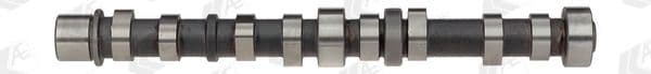 Sadales vārpsta AE CAM711 1