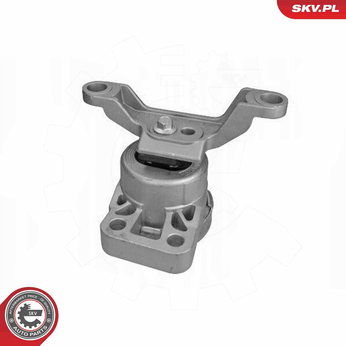 Piekare, Dzinējs ESEN SKV 75SKV257 1