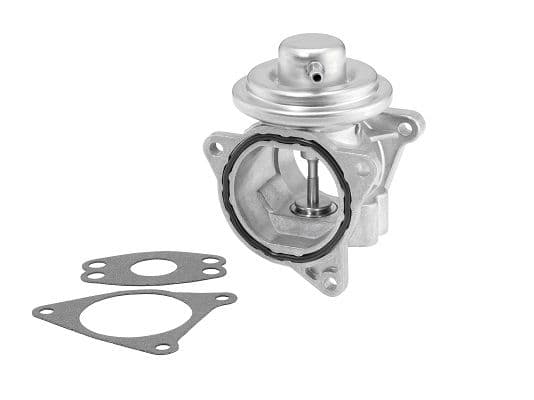 Izpl. gāzu recirkulācijas vārsts BorgWarner 7496D 1