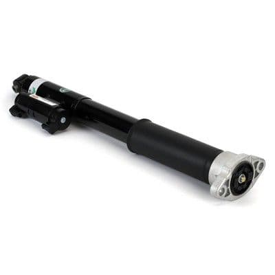 Amortizators Arnott SK-3389 1