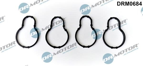 Blīve, Ieplūdes kolektors Dr.Motor Automotive DRM0684 1