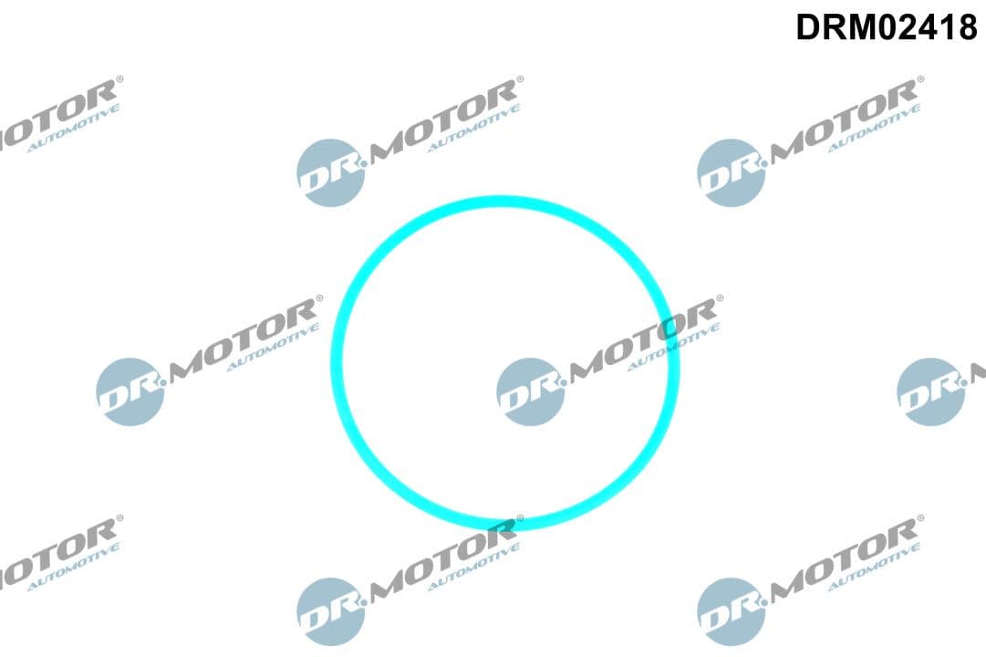 Blīve, Degvielas sūknis Dr.Motor Automotive DRM02418 1