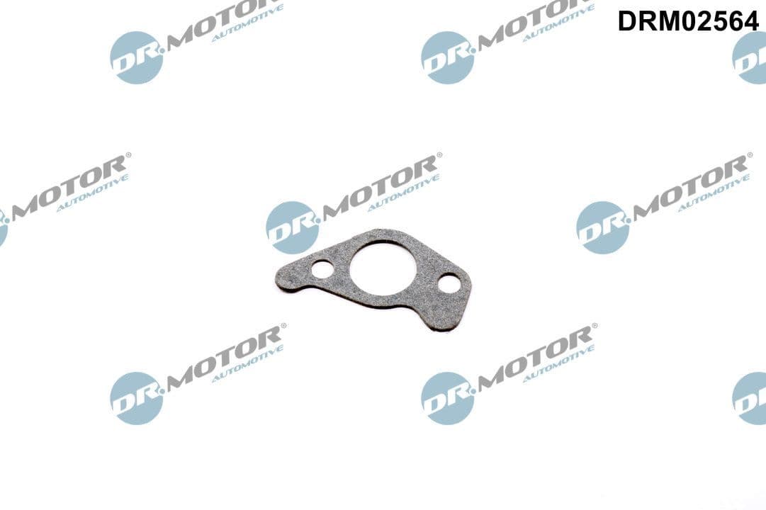 Blīve, Eļļas sūknis Dr.Motor Automotive DRM02564 1