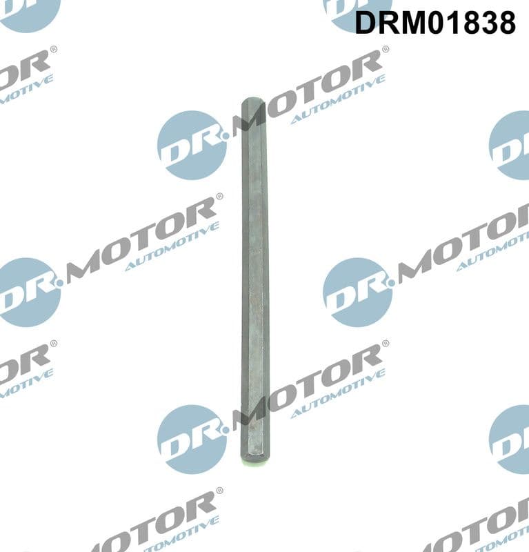 Piedziņas vārpsta, Eļļas sūknis Dr.Motor Automotive DRM01838 1