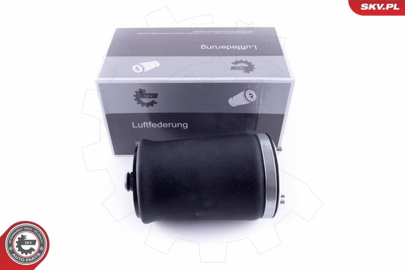Pneimoatspere, Balstiekārta ESEN SKV 58SKV004 1