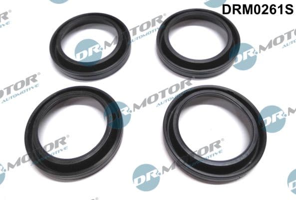 Blīve, Sprauslas korpuss Dr.Motor Automotive DRM0261S 1