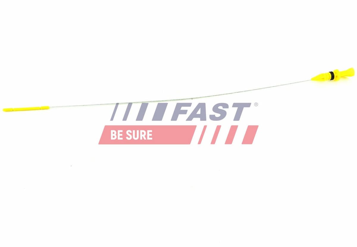 Eļļas tausts FAST FT80316 1