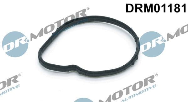 Blīve, Termostats Dr.Motor Automotive DRM01181 1